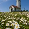 Cape Blanco Lighthouse - Oregon
