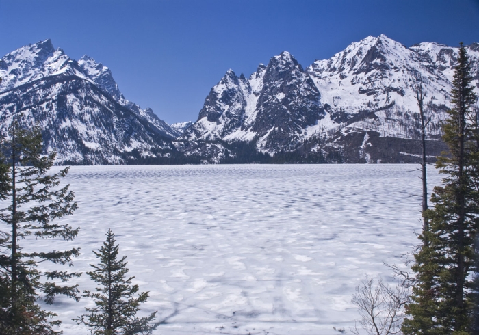 Frozen Jenny Lake