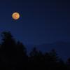 Moonrise at Newfound Gap