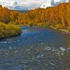 The Gunnison River +