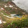 Colorado Wildflowers & High Basins - July 2015
