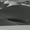 Dune Field in Black & White