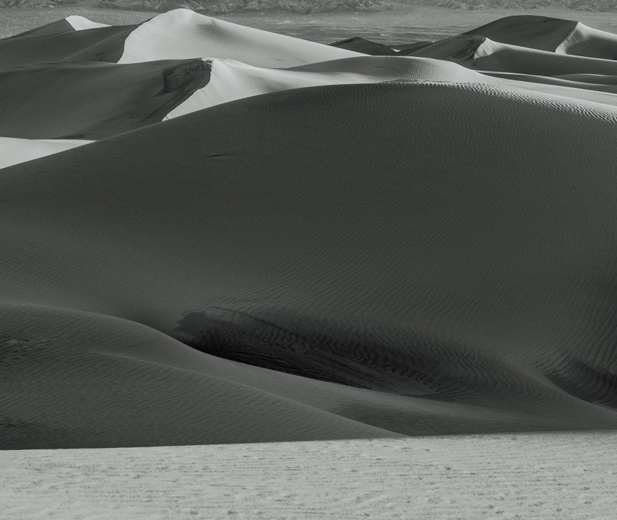 Dune Field in Black & White