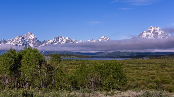 Mount Moran and The Fog