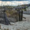 Sea Oats and a Warning