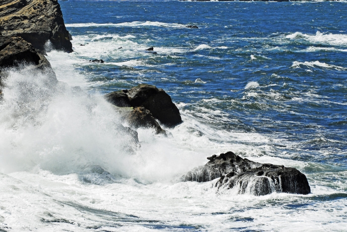 Incoming at Shore Acres State Park