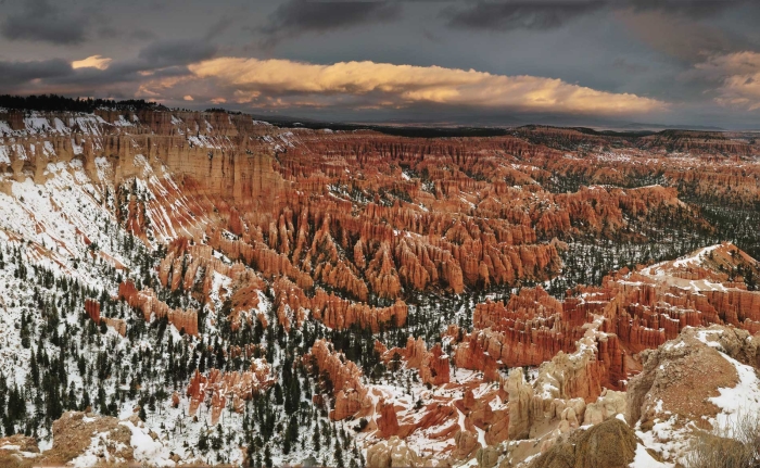 The Ampitheatre from Bryce Point +