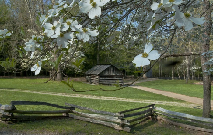 Cade's Cove +