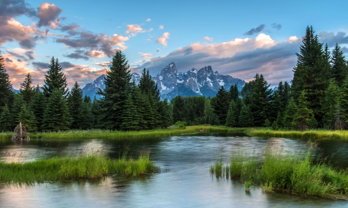 Morning at Schwabacher +