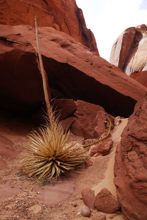 Waterhole Canyon