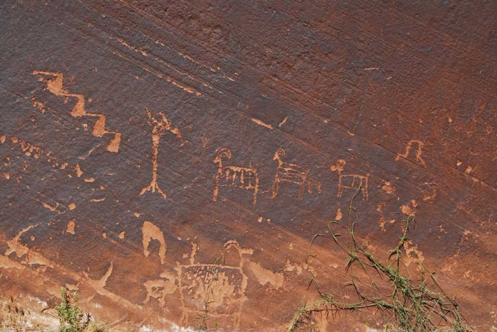 Petroglyphs in Marble Canyon