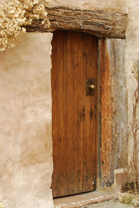 Ancient Door