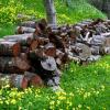 Carmel Woodpile