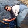 Gunnison River Brownie