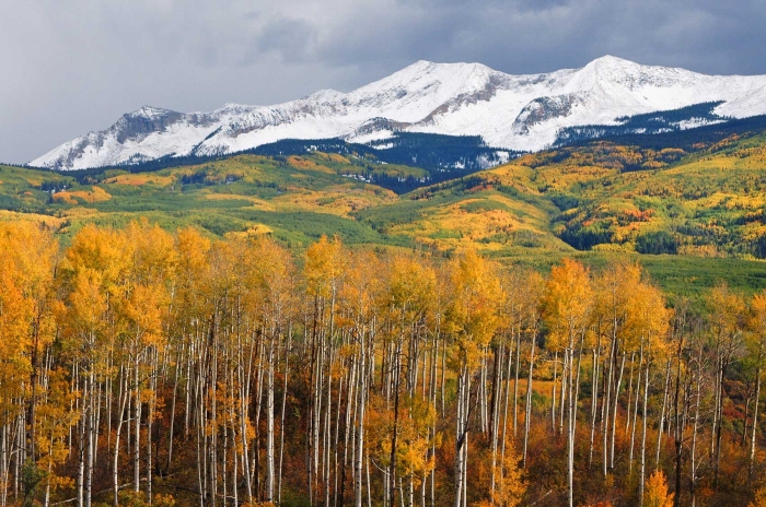 Early Winter on the West Elk Mountains +