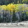 Rocky Mountain National Park