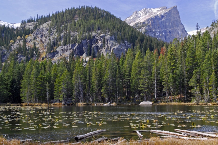 Hallet Peak from Lily Lake