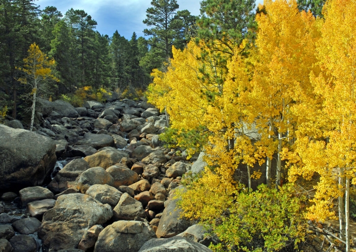 Glacier Creek