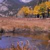 Beaver Pond