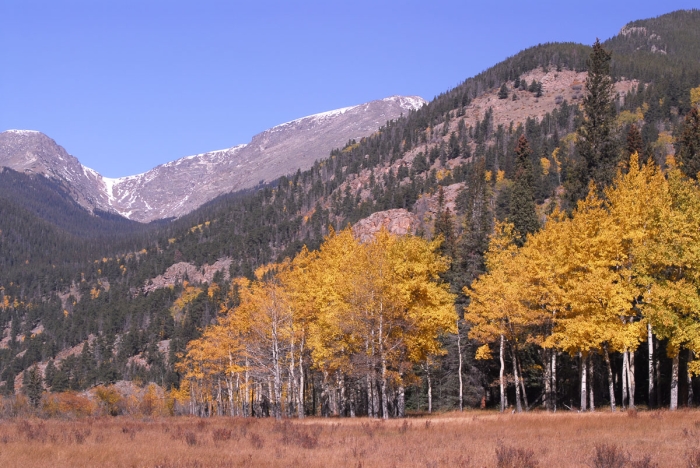 Looking toward Fall River Pass