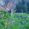 Yankee Boy Basin