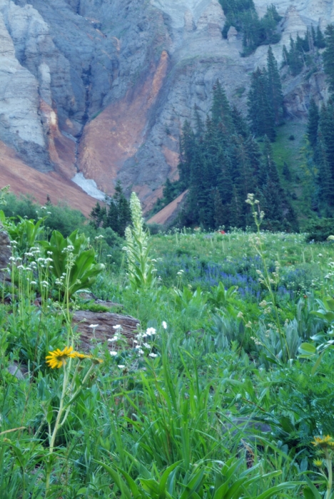 Yankee Boy Basin