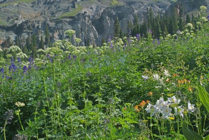 Yankee Boy Basin