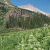 Yankee Boy Basin