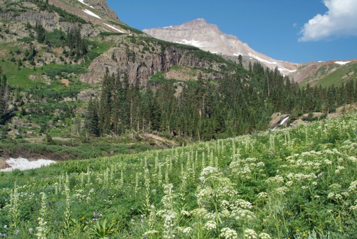 Yankee Boy Basin