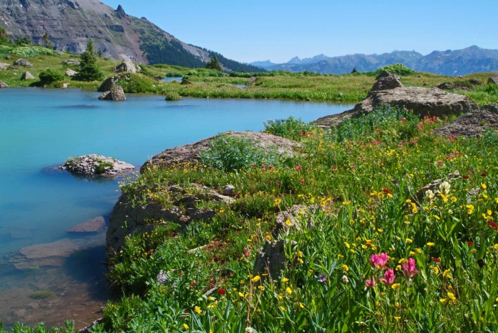 Silver Basin +