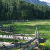 Dallas Creek Meadow