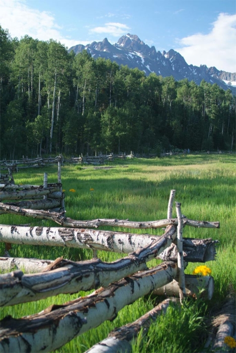 Dallas Creek Meadow