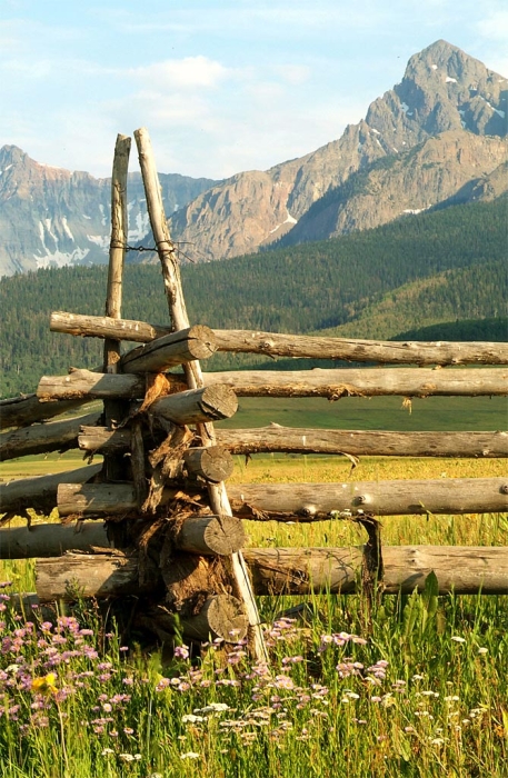 Mt Sneffels & Fence Line