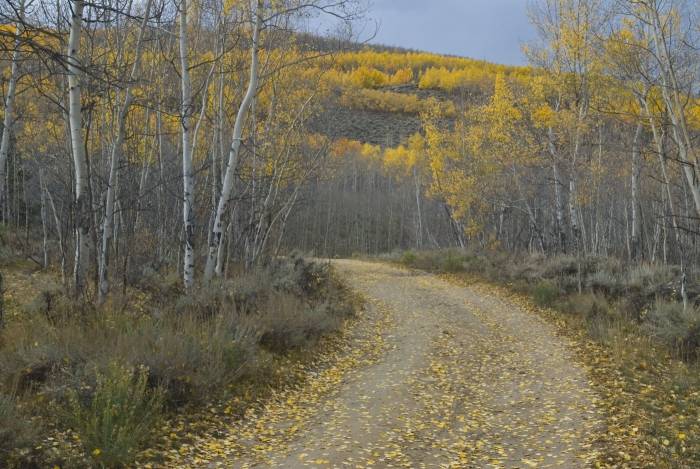 Twin Lakes Road +