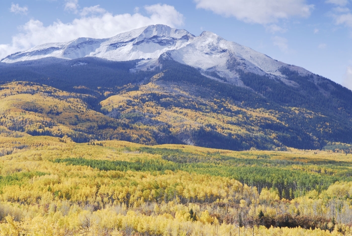 West Elk Mountains - East Beckwith Peak +