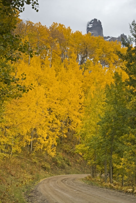 Owl Creek Pass Road