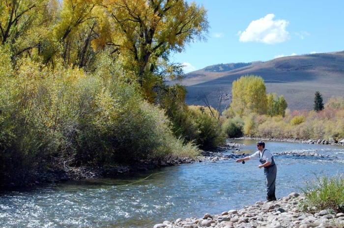 Fall on the Gunnison