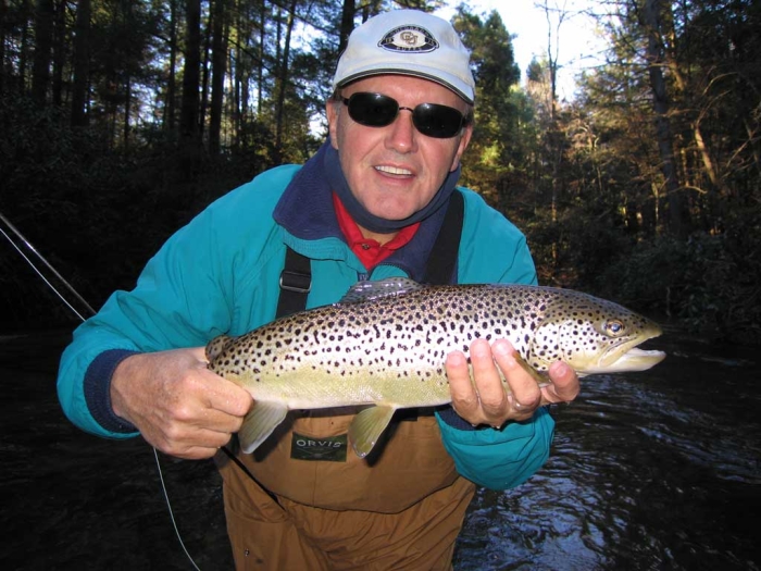 A Nice Brown Trout