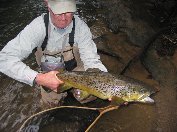 Soque River Brown