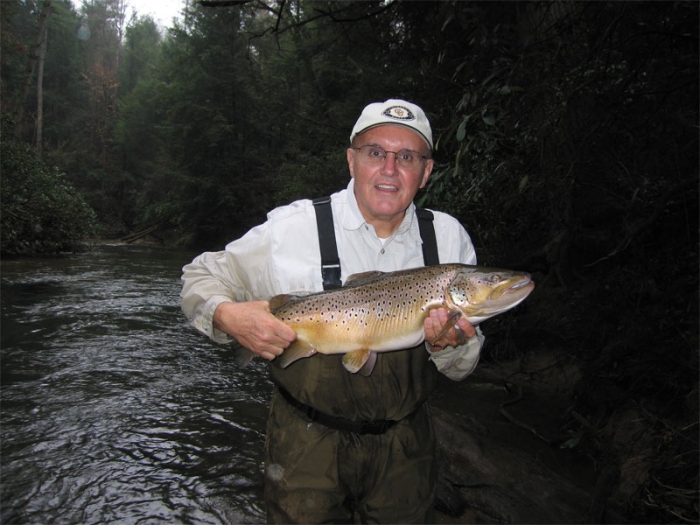 Another Big Brownie