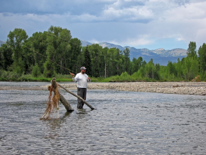 Working the Shallows