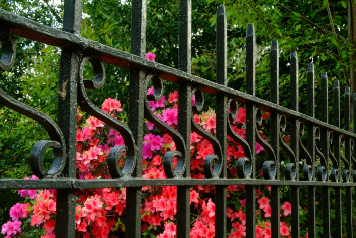 Bonaventure Cemetery