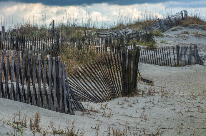 Sea Oats and a Warning