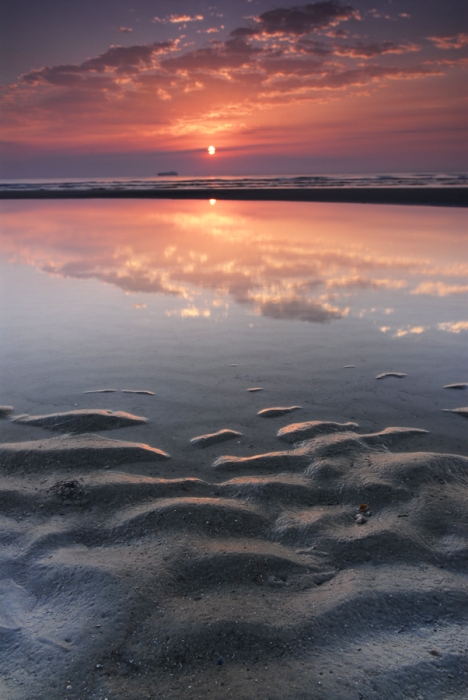 Tidal Pool Reflections