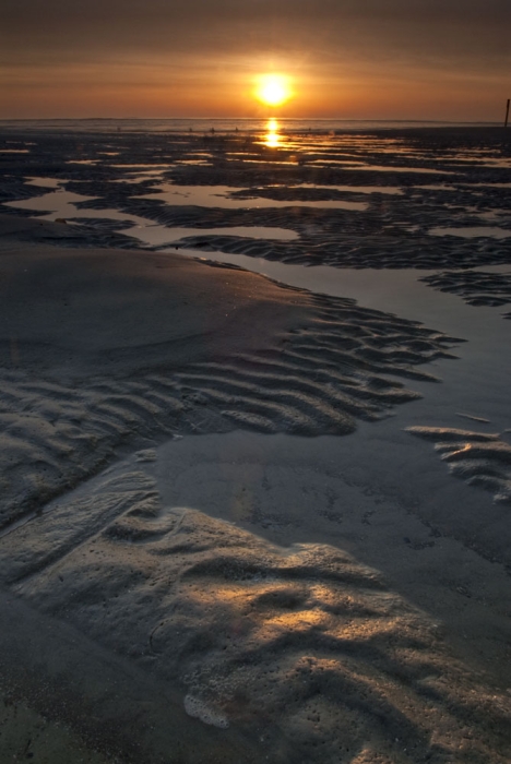 Tidal Pools