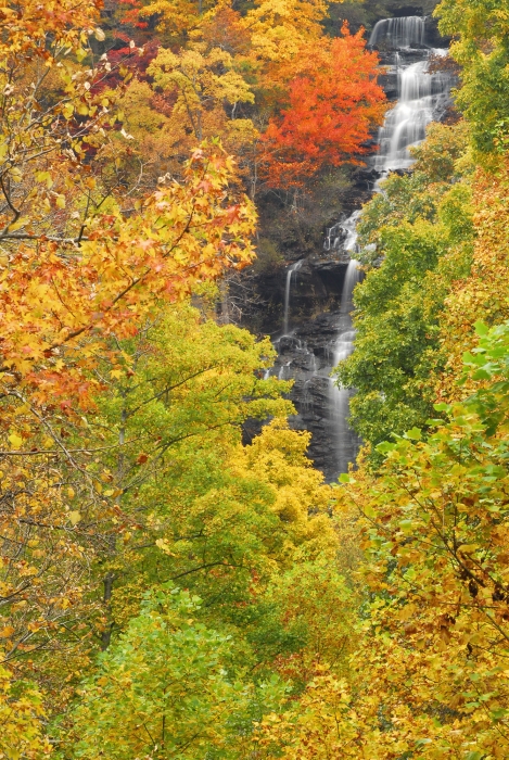 Amicolola Falls