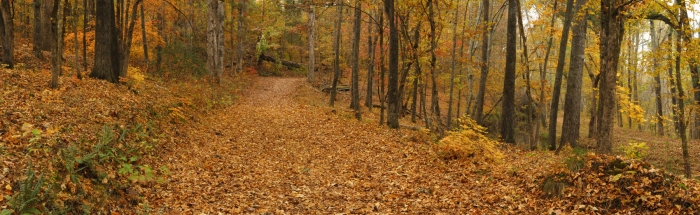 Watson Mill Trail +