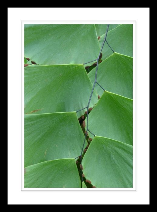 Green Symmetry