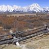 Bole Fence at Cunningham Ranch +