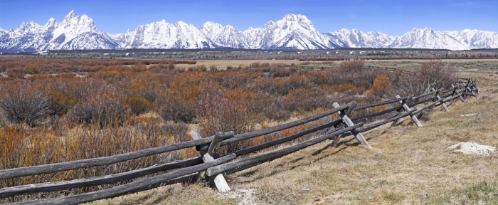 Bole Fence at Cunningham Ranch +